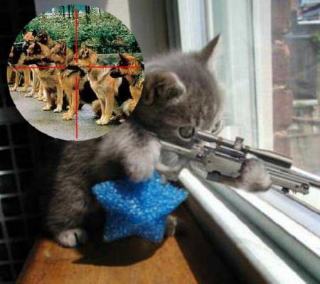 Sa c'est un Sniper si vous en voyez comme sa COURER !!!!!!!!!!!!